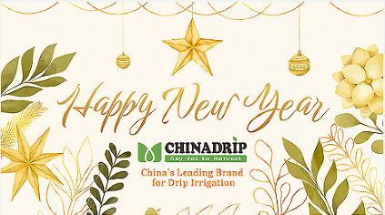 Avis de vacances du Nouvel An chinois Chinadrip. (2024)
        